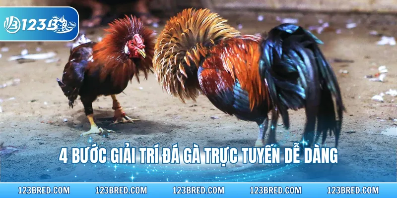 Đá Gà Cựa Dao – Sản Phẩm Giải Trí Hấp Dẫn Tại 123B 4 4 bước giải trí đá gà trực tuyến dễ dàng