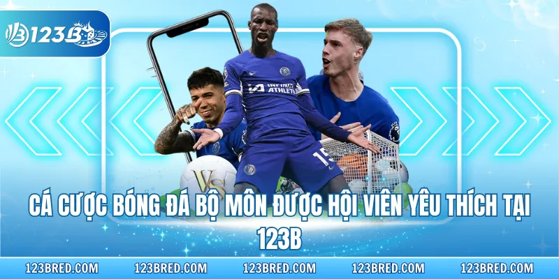 Cá Cược Bóng Đá Trực Tiếp, Nhận Thưởng Xanh Chín Tại 123B 2 Cá cược bóng đá bộ môn được hội viên yêu thích tại 123B