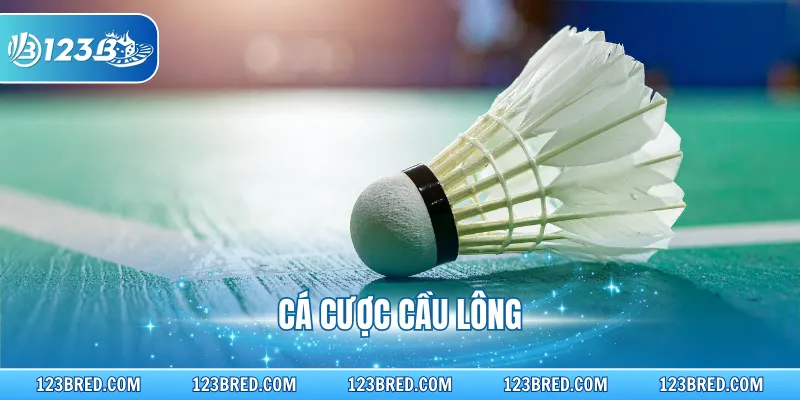Cách Chơi Cá Cược Cầu Lông Chuyên Sâu Cho Newbie 123B 1 Cách Chơi Cá Cược Cầu Lông Chuyên Sâu Cho Newbie 123B