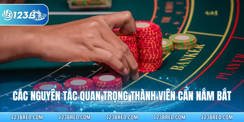 Baccarat Online - Nắm Vững Luật Và Nguyên Tắc Cơ Bản 4 Các nguyên tắc quan trọng thành viên cần nắm bắt