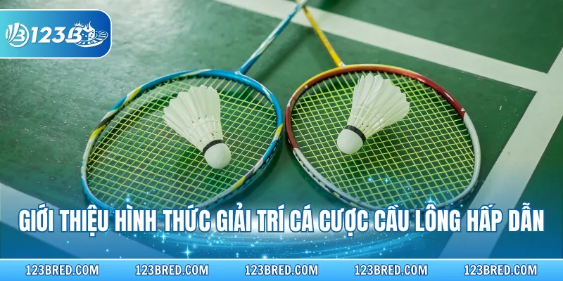 Cách Chơi Cá Cược Cầu Lông Chuyên Sâu Cho Newbie 123B 2 Giới thiệu hình thức giải trí cá cược cầu lông hấp dẫn