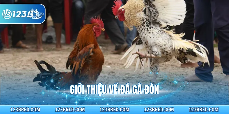 Đá Gà Đòn - Chi Tiết Về Hình Thức Thi Đấu Nổi Tiếng 2 Giới thiệu về đá gà đòn