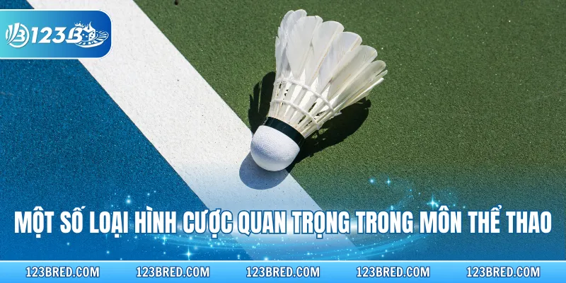 Cách Chơi Cá Cược Cầu Lông Chuyên Sâu Cho Newbie 123B 3 Một số loại hình cược quan trọng trong môn thể thao