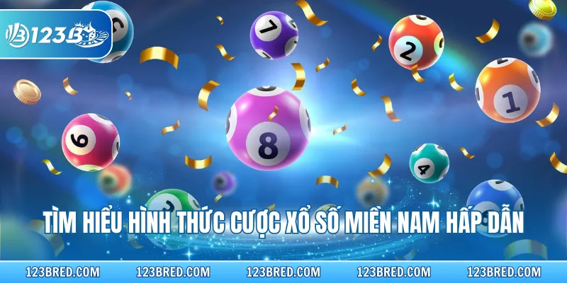 Xổ Số Miền Nam Online - Đặt Cược Nhanh Trúng Thưởng Lớn 2 Tìm hiểu hình thức cược xổ số miền Nam hấp dẫn