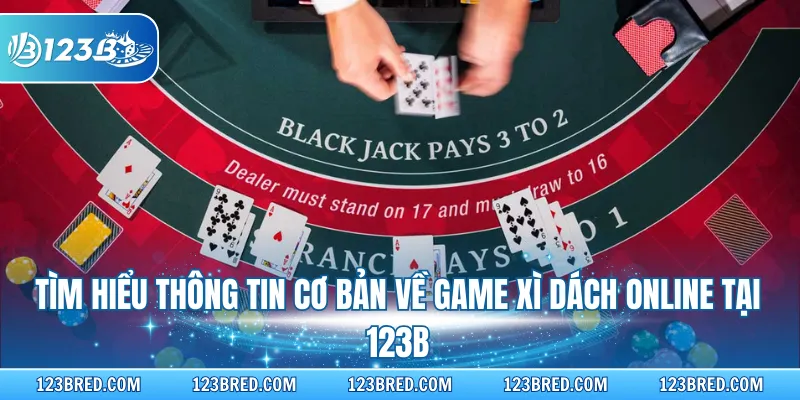 Xì Dách Online - Hướng Dẫn Cách Trải Nghiệm Game Hiệu Quả 2 Tìm hiểu thông tin cơ bản về game Xì dách online tại 123B
