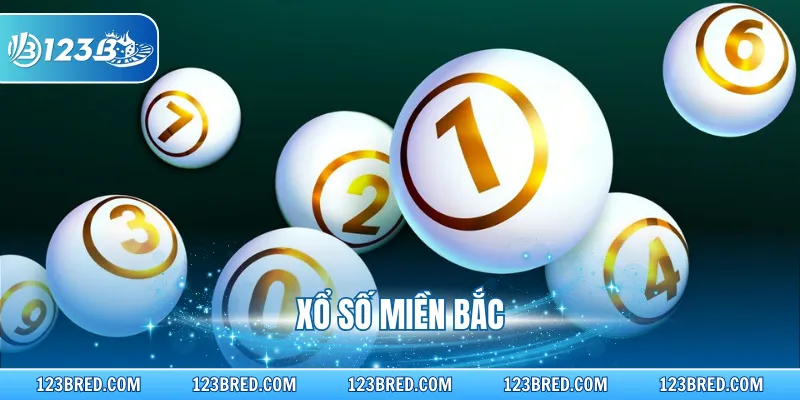 Xổ Số Miền Bắc – Dự Đoán Lô Đề Thưởng Cao Trong Ngày 1 Xổ Số Miền Bắc – Dự Đoán Lô Đề Thưởng Cao Trong Ngày